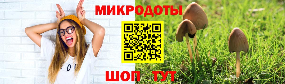 наркота  Вход с VPN  Гусь-Хрустальный  Псилоцибиновые грибы Cubensis 